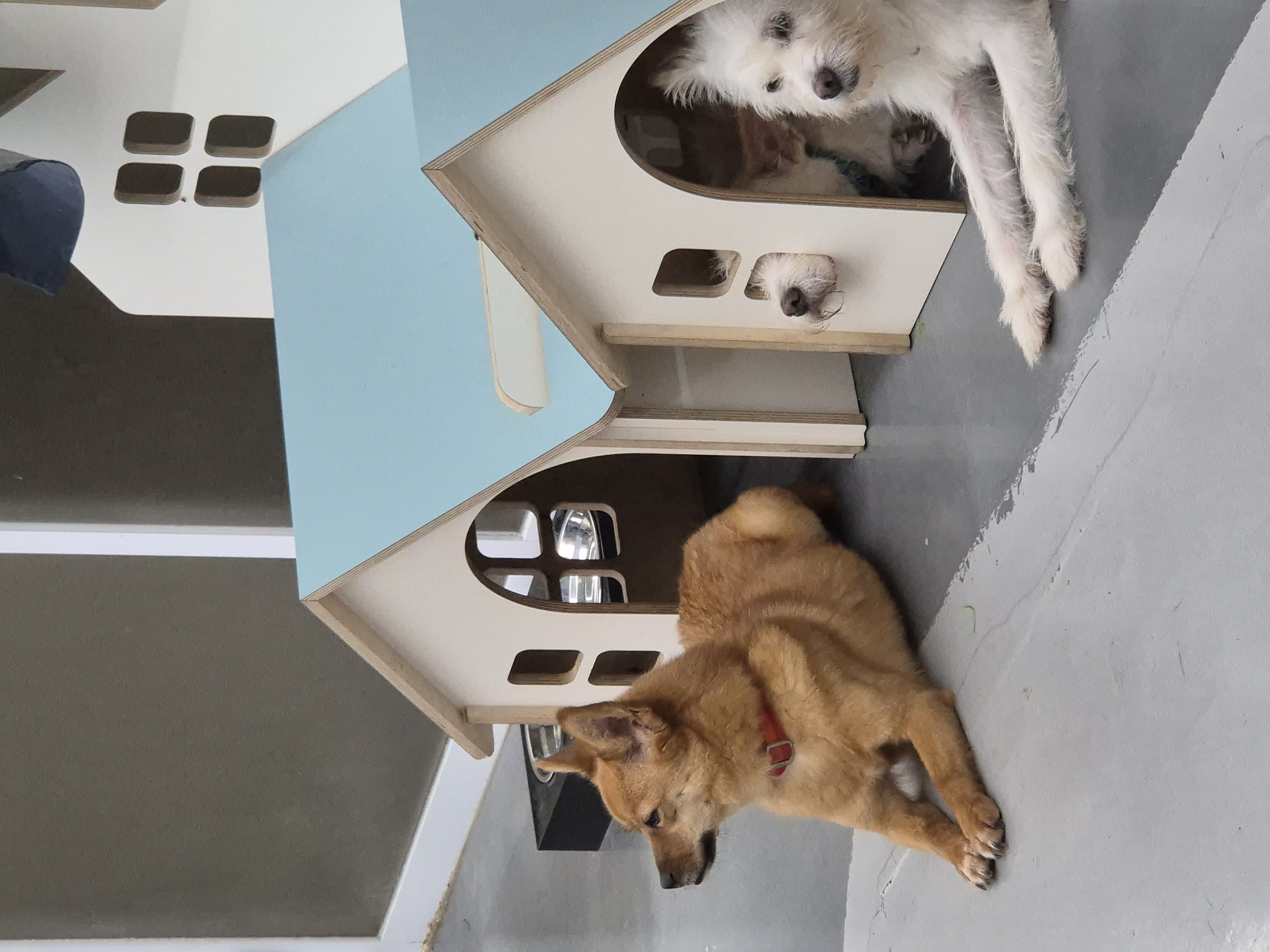 계양 로타랙트 클럽 활동 사진